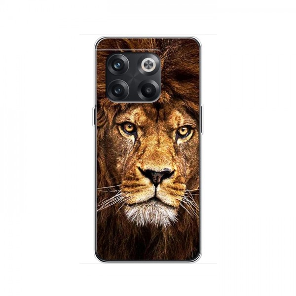 Чехол со Львом для OnePlus 10T (VPrint)