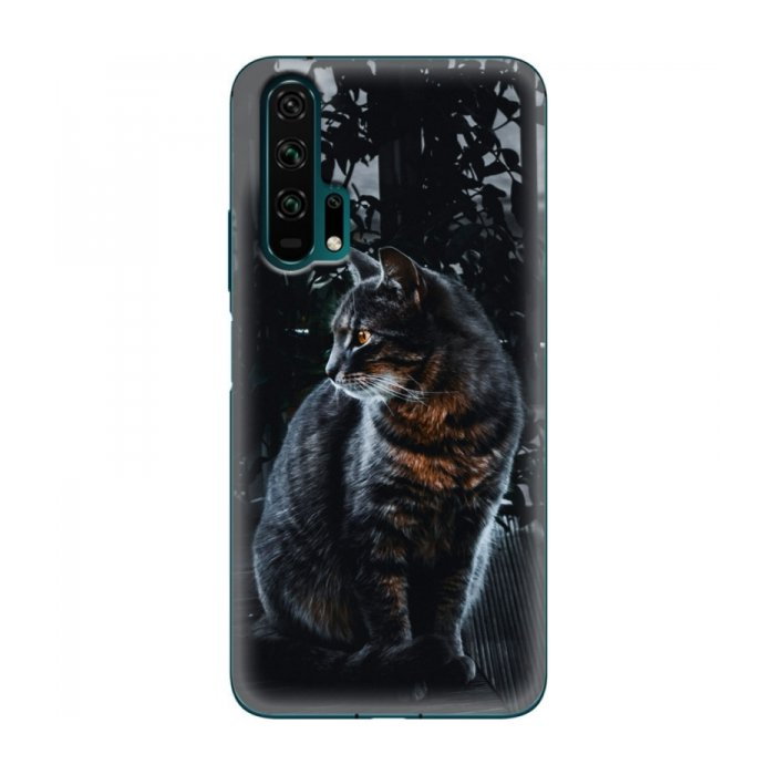 Чехол на Huawei Honor 20 Pro с Котами (VPrint)