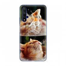 Чехлы с Котиками для Huawei Honor 20 (VPrint) Рыжий котик - купить на Floy.com.ua