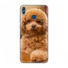 Чехлы с собаками для Huawei Honor 8X Max (VPrint) кудрявый Щенок Бишон - купить на Floy.com.ua