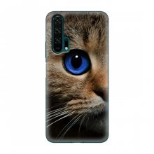 Чехлы с Котиками для Huawei Honor 20 Pro (VPrint) Голубоглазый кот - купить на Floy.com.ua