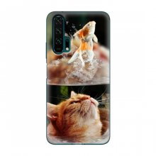Чехлы с Котиками для Huawei Honor 20 Pro (VPrint) Рыжий котик - купить на Floy.com.ua