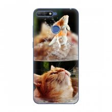 Чехлы с Котиками для Huawei Honor 7A Pro (VPrint) Рыжий котик - купить на Floy.com.ua