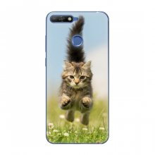 Чехлы с Котиками для Huawei Honor 7A Pro (VPrint) Прыжок кота - купить на Floy.com.ua