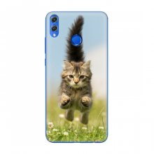 Чехлы с Котиками для Huawei Honor 8X (VPrint) Прыжок кота - купить на Floy.com.ua