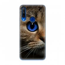 Чехлы с Котиками для Huawei Honor 9X (VPrint) Голубоглазый кот - купить на Floy.com.ua