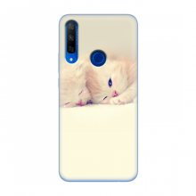 Чехлы с Котиками для Huawei Honor 9X (VPrint) Маленькие котики - купить на Floy.com.ua