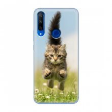 Чехлы с Котиками для Huawei Honor 9X (VPrint) Прыжок кота - купить на Floy.com.ua