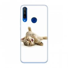 Чехлы с Котиками для Huawei Honor 9X (VPrint) Игривый котенок - купить на Floy.com.ua