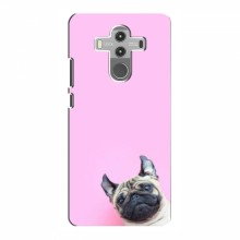 Чехол с принтом (Прикольные) для Huawei Mate 10 Pro (AlphaPrint) Собака на розовом - купить на Floy.com.ua