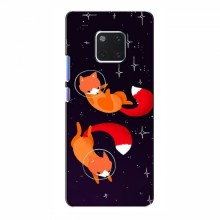 Чехол с печатью (Подарочные) для Huawei Mate 20 Pro (AlphaPrint) Лисы - купить на Floy.com.ua