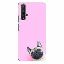 Чехол с принтом (Прикольные) для Huawei Nova 5T (AlphaPrint) Собака на розовом - купить на Floy.com.ua
