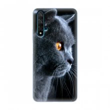 Чехлы с Котиками для Huawei Nova 5T (VPrint) - купить на Floy.com.ua