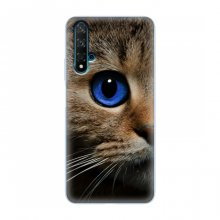 Чехлы с Котиками для Huawei Nova 5T (VPrint) Голубоглазый кот - купить на Floy.com.ua