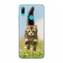 Чехлы с Котиками для Huawei P Smart 2019 (VPrint) Прыжок кота - купить на Floy.com.ua