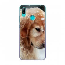 Чехлы с собаками для Huawei P Smart 2019 (VPrint) Домашняя собачка - купить на Floy.com.ua