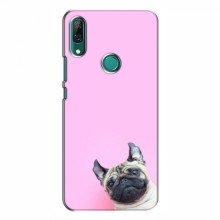 Чехол с принтом (Прикольные) для Huawei P Smart Z (AlphaPrint) Собака на розовом - купить на Floy.com.ua