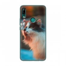 Чехол на Huawei P Smart Z с Котами (VPrint) Котик с бабочкой - купить на Floy.com.ua