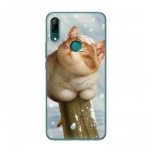 Чехлы с Котиками для Huawei P Smart Z (VPrint) Кот в снегу - купить на Floy.com.ua