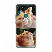 Чехлы с Котиками для Huawei P Smart Z (VPrint) Рыжий котик - купить на Floy.com.ua