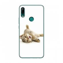 Чехлы с Котиками для Huawei P Smart Z (VPrint) Игривый котенок - купить на Floy.com.ua