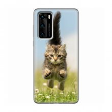 Чехлы с Котиками для Huawei P40 (VPrint) Прыжок кота - купить на Floy.com.ua