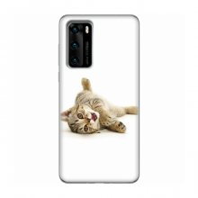 Чехлы с Котиками для Huawei P40 (VPrint) Игривый котенок - купить на Floy.com.ua