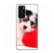 Чехлы с собаками для Huawei P40 (VPrint) Песик - купить на Floy.com.ua