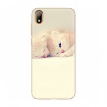 Чехлы с Котиками для Huawei Y5 2019 (VPrint) Маленькие котики - купить на Floy.com.ua