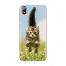 Чехлы с Котиками для Huawei Y5 2019 (VPrint) Прыжок кота - купить на Floy.com.ua