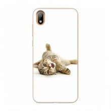Чехлы с Котиками для Huawei Y5 2019 (VPrint) Игривый котенок - купить на Floy.com.ua