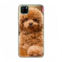 Чехлы с собаками для Huawei Y5p (VPrint) кудрявый Щенок Бишон - купить на Floy.com.ua