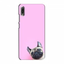 Чехол с принтом (Прикольные) для Huawei Y6 2019 (AlphaPrint) Собака на розовом - купить на Floy.com.ua