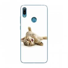 Чехлы с Котиками для Huawei Y6 Pro (2019)/ Y6 Prime 2019 (VPrint) Игривый котенок - купить на Floy.com.ua