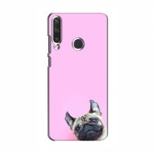 Чехол с принтом (Прикольные) для Huawei Y6p (AlphaPrint) Собака на розовом - купить на Floy.com.ua