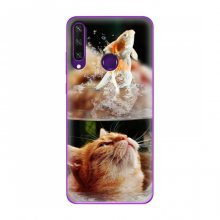Чехлы с Котиками для Huawei Y6p (VPrint) Рыжий котик - купить на Floy.com.ua