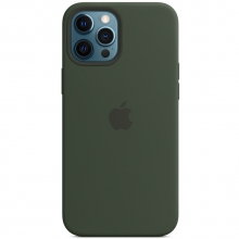 Чехол Silicone case (AAA) full with Magsafe для Apple iPhone 12 Pro Max (6.7") Зеленый - купить на Floy.com.ua
