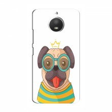 Чехол для Motorola Moto E4 (AlphaPrint) с печатью (ПРОЗРАЧНЫЙ ФОН) Собака Король - купить на Floy.com.ua
