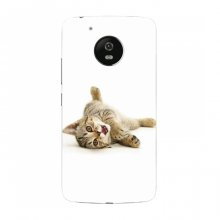 Чехлы с Котиками для Motorola Moto G5 (VPrint) Игривый котенок - купить на Floy.com.ua