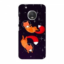 Чехол с печатью (Подарочные) для Motorola Moto G5s (AlphaPrint) Лисы - купить на Floy.com.ua