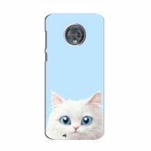 Чехол с принтом (Прикольные) для Motorola Moto G6 Plus (AlphaPrint) Белый кот - купить на Floy.com.ua