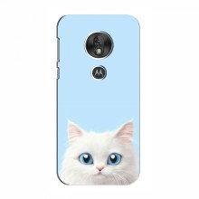 Чехол с принтом (Прикольные) для Motorola Moto G7 Play (AlphaPrint) Белый кот - купить на Floy.com.ua