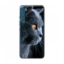 Чехлы с Котиками для Motorola One Fusion Plus (VPrint)