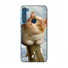 Чехлы с Котиками для Motorola One Fusion Plus (VPrint) Кот в снегу - купить на Floy.com.ua