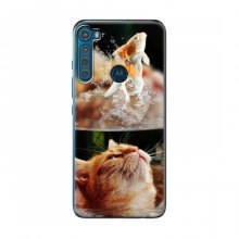 Чехлы с Котиками для Motorola One Fusion Plus (VPrint) Рыжий котик - купить на Floy.com.ua