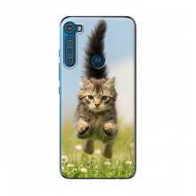 Чехлы с Котиками для Motorola One Fusion Plus (VPrint) Прыжок кота - купить на Floy.com.ua