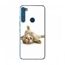 Чехлы с Котиками для Motorola One Fusion Plus (VPrint) Игривый котенок - купить на Floy.com.ua