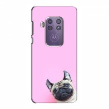 Чехол с принтом (Прикольные) для Motorola One Zoom (AlphaPrint) Собака на розовом - купить на Floy.com.ua