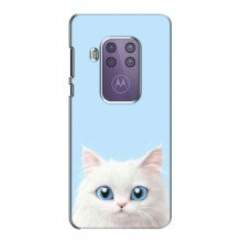 Чехол с принтом (Прикольные) для Motorola One Zoom (AlphaPrint) Белый кот - купить на Floy.com.ua