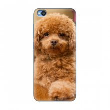 Чехлы с собаками для Xiaomi Redmi Go (VPrint) кудрявый Щенок Бишон - купить на Floy.com.ua